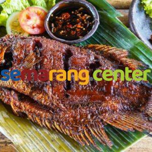 7 Rekomendasi Tempat Makan Tembalang Murah & Enak Buat Keluarga