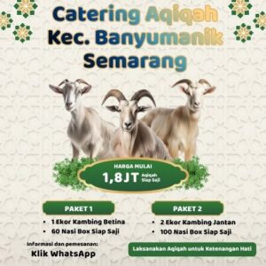 Banyak Review Positif! Paket Aqiqah di Banyumanik Ini Punya Rating Tertinggi