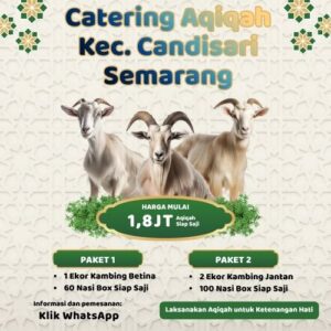 Banyak Review Positif! Paket Aqiqah di Candisari Ini Punya Rating Tertinggi