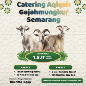 Banyak Review Positif! Paket Aqiqah di Gajahmungkur Ini Punya Rating Tertinggi