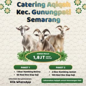 Banyak Review Positif! Paket Aqiqah di Gunungpati Ini Punya Rating Tertinggi