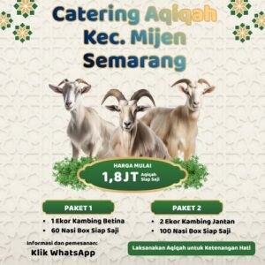 Banyak Review Positif! Paket Aqiqah di Mijen Ini Punya Rating Tertinggi