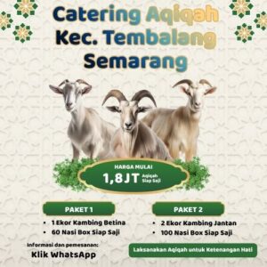 Banyak Review Positif! Paket Aqiqah di Tembalang Ini Punya Rating Tertinggi